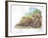 Tree Pangolins Manis Tricuspis Catching Ants-null-Framed Giclee Print