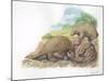 Tree Pangolins Manis Tricuspis Catching Ants-null-Mounted Giclee Print