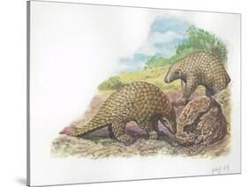 Tree Pangolins Manis Tricuspis Catching Ants-null-Stretched Canvas