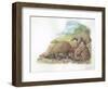 Tree Pangolins Manis Tricuspis Catching Ants-null-Framed Premium Giclee Print