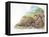 Tree Pangolins Manis Tricuspis Catching Ants-null-Framed Stretched Canvas