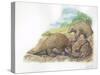 Tree Pangolins Manis Tricuspis Catching Ants-null-Stretched Canvas