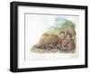 Tree Pangolins Manis Tricuspis Catching Ants-null-Framed Giclee Print