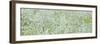 Tree Panorama I-James McLoughlin-Framed Photographic Print