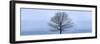 Tree Panorama VI-James McLoughlin-Framed Photographic Print