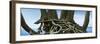 Tree Panorama VII-James McLoughlin-Framed Photographic Print