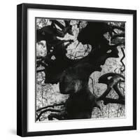 Tree, Paris, 1960-Brett Weston-Framed Photographic Print