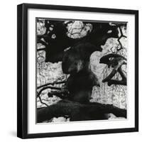 Tree, Paris, 1960-Brett Weston-Framed Photographic Print