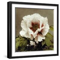 Tree Peony, 19th Century-Ogawa Kazuma-Framed Giclee Print