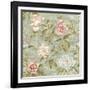 Tree Peony Mother of Pearl-Bill Jackson-Framed Giclee Print