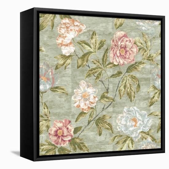 Tree Peony Mother of Pearl-Bill Jackson-Framed Stretched Canvas