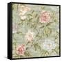 Tree Peony Mother of Pearl-Bill Jackson-Framed Stretched Canvas