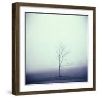 Tree Portrait, Discovery Park-Kevin Cruff-Framed Photographic Print