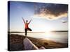 Tree Pose During Sunset on the Beach of Lincoln Park, West Seattle, Washington-Dan Holz-Stretched Canvas