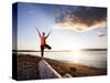 Tree Pose During Sunset on the Beach of Lincoln Park, West Seattle, Washington-Dan Holz-Stretched Canvas