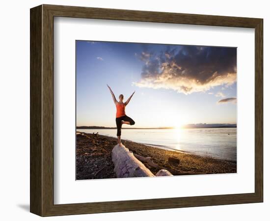 Tree Pose During Sunset on the Beach of Lincoln Park, West Seattle, Washington-Dan Holz-Framed Photographic Print