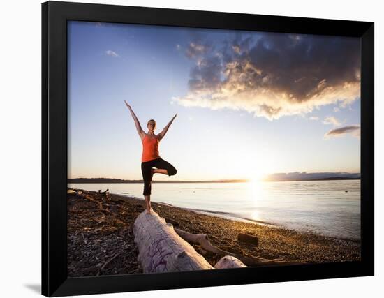 Tree Pose During Sunset on the Beach of Lincoln Park, West Seattle, Washington-Dan Holz-Framed Photographic Print