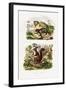 Tree Rat, 1833-39-null-Framed Giclee Print