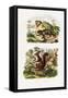 Tree Rat, 1833-39-null-Framed Stretched Canvas