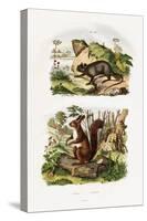 Tree Rat, 1833-39-null-Stretched Canvas