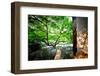 Tree Reaching Out into One of the Many Lakes in a Park at West Lake, Hangzhou, Zhejiang-Andreas Brandl-Framed Premium Photographic Print