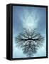 Tree Reflected in Water and Surrounded by Clouds-Chris Rogers-Framed Stretched Canvas