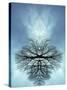 Tree Reflected in Water and Surrounded by Clouds-Chris Rogers-Stretched Canvas
