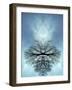 Tree Reflected in Water and Surrounded by Clouds-Chris Rogers-Framed Photographic Print