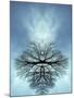 Tree Reflected in Water and Surrounded by Clouds-Chris Rogers-Mounted Photographic Print