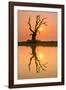 Tree reflecting in Taung Tha Man Lake near U-Bein bridge at sunset, Amarapura, Mandalay, Myanmar-Jan Miracky-Framed Photographic Print