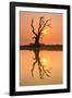 Tree reflecting in Taung Tha Man Lake near U-Bein bridge at sunset, Amarapura, Mandalay, Myanmar-Jan Miracky-Framed Photographic Print