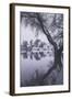 Tree Reflections at Marin County Pond California-Vincent James-Framed Photographic Print