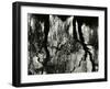 Tree, Reflections, Europe, 1971-Brett Weston-Framed Photographic Print