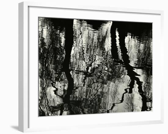 Tree, Reflections, Europe, 1971-Brett Weston-Framed Photographic Print