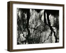 Tree, Reflections, Europe, 1971-Brett Weston-Framed Premium Photographic Print