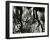 Tree, Reflections, Europe, 1971-Brett Weston-Framed Premium Photographic Print