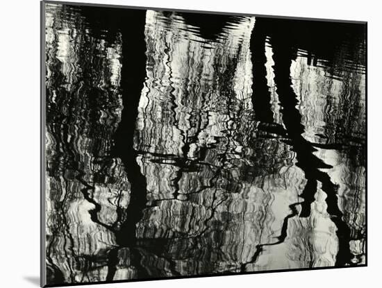 Tree, Reflections, Europe, 1971-Brett Weston-Mounted Premium Photographic Print