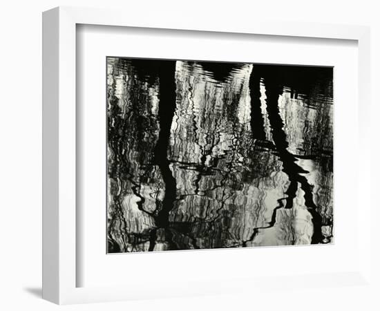 Tree, Reflections, Europe, 1971-Brett Weston-Framed Photographic Print