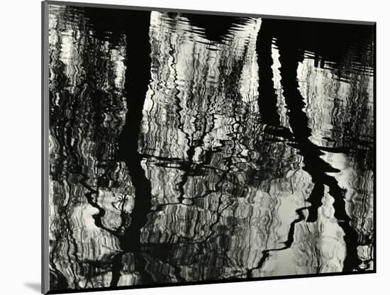 Tree, Reflections, Europe, 1971-Brett Weston-Mounted Photographic Print