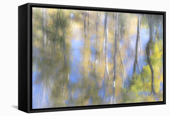 Tree Reflections I-Kathy Mahan-Framed Stretched Canvas