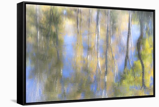 Tree Reflections I-Kathy Mahan-Framed Stretched Canvas