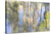 Tree Reflections I-Kathy Mahan-Stretched Canvas