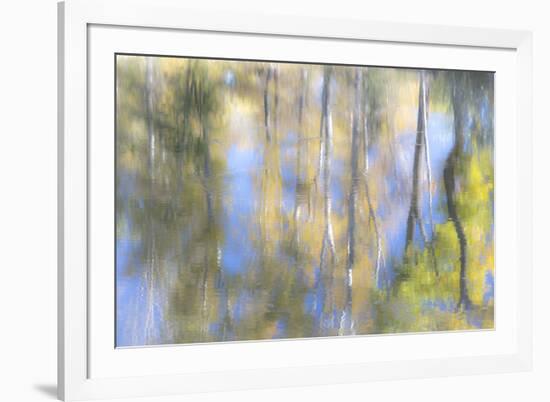 Tree Reflections I-Kathy Mahan-Framed Photographic Print