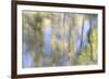 Tree Reflections I-Kathy Mahan-Framed Photographic Print