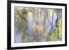 Tree Reflections I-Kathy Mahan-Framed Photographic Print