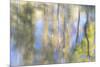 Tree Reflections I-Kathy Mahan-Mounted Photographic Print