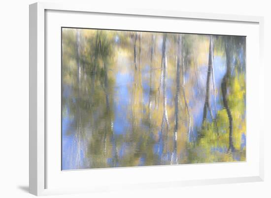 Tree Reflections I-Kathy Mahan-Framed Photographic Print