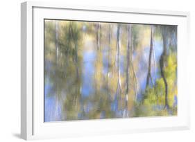 Tree Reflections I-Kathy Mahan-Framed Photographic Print