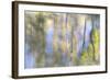 Tree Reflections I-Kathy Mahan-Framed Photographic Print