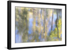 Tree Reflections I-Kathy Mahan-Framed Photographic Print